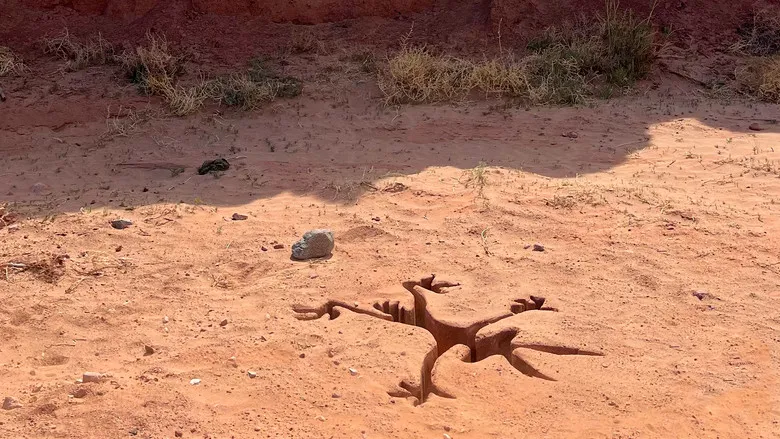 Banner for Coyote vs. Acme