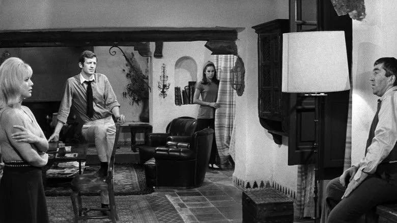 Banner for Crime on a Summer Morning