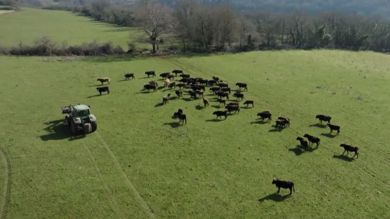 Banner for Dans la peau des premiers paysans français