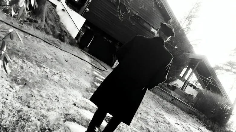 Banner for Dead Man's Tale (A Film Noir)