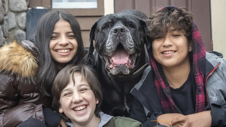 Banner for Dog Patrol: Operation Santa Paws