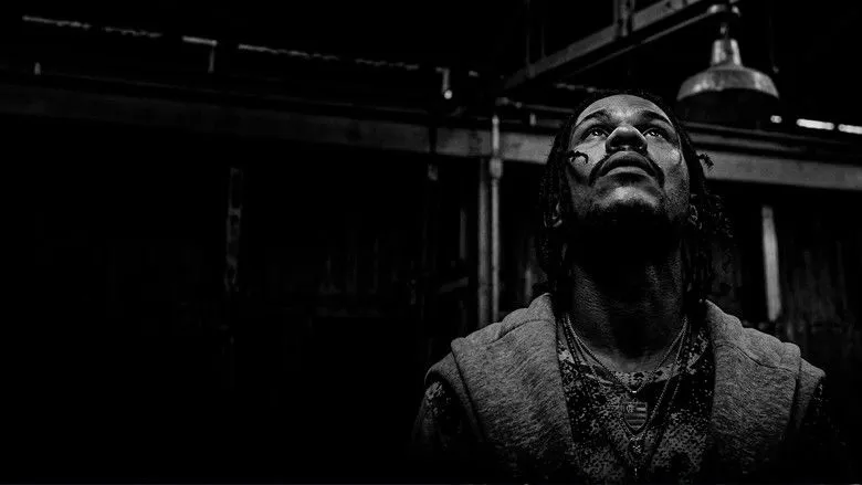 Banner for Domingo Sem Deus