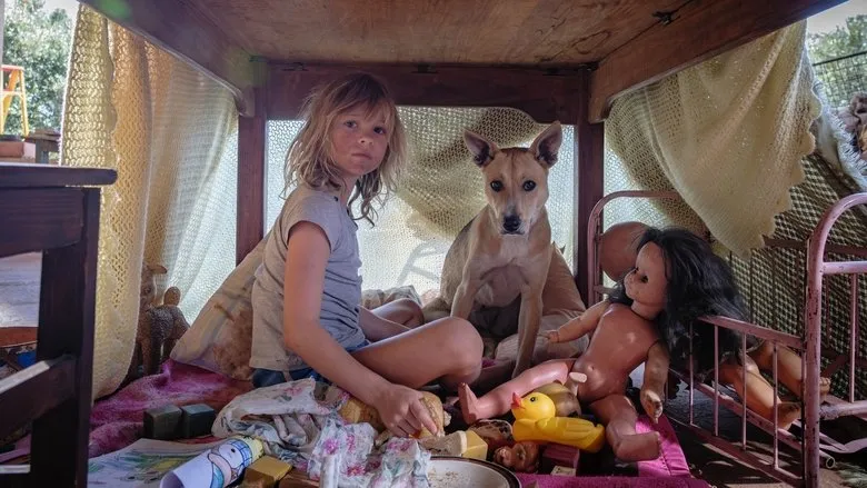 Banner for Don't Let's Go to the Dogs Tonight