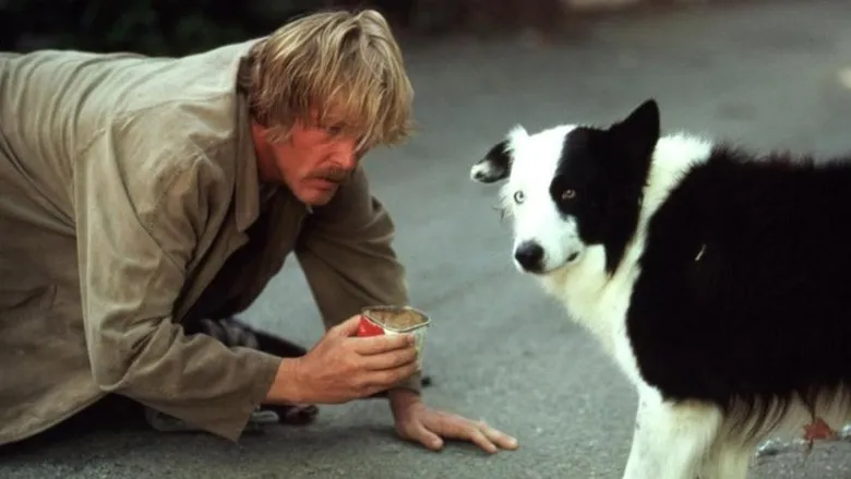 Banner for Down and Out in Beverly Hills
