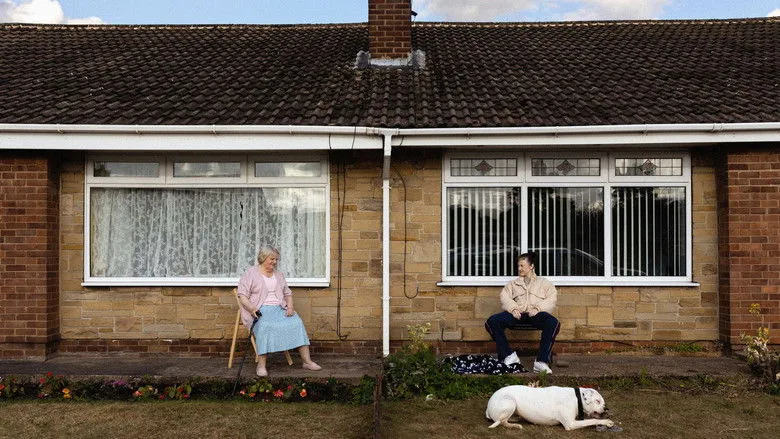 Banner for Dragonfly