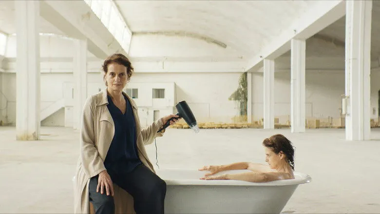 Banner for Dreaming of Lions