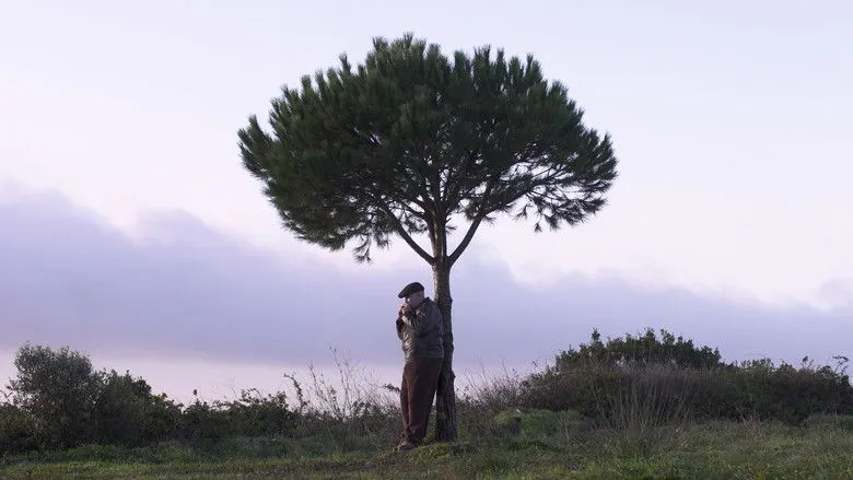 Banner for Este Lugar