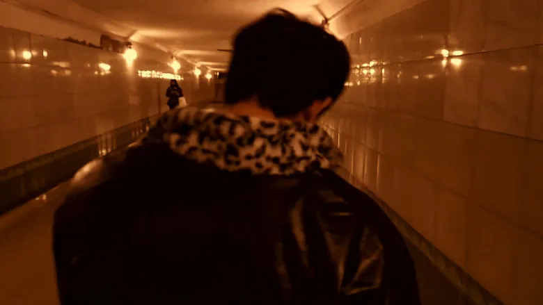 Banner for Experiment 3120