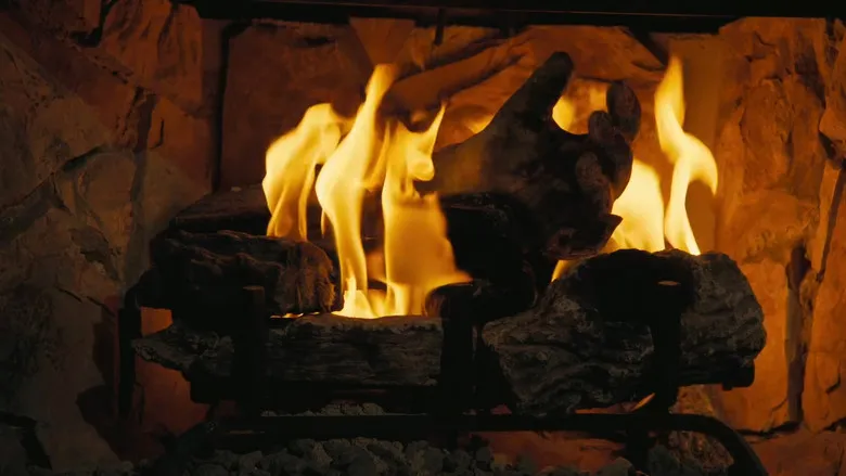 Banner for Fallout: The Ghoul Log