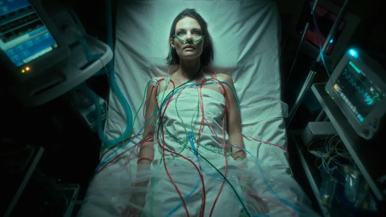 Banner for Flesh, Blood, Even a Heart