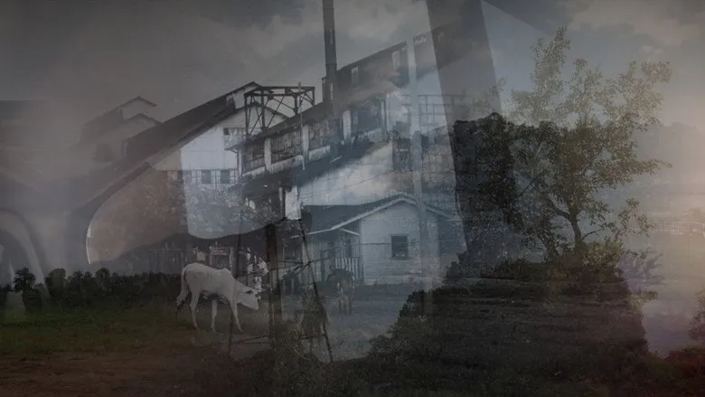 Banner for Fordlândia Panacea