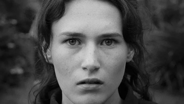 Banner for Fragmented