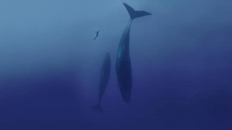 Banner for Freediver