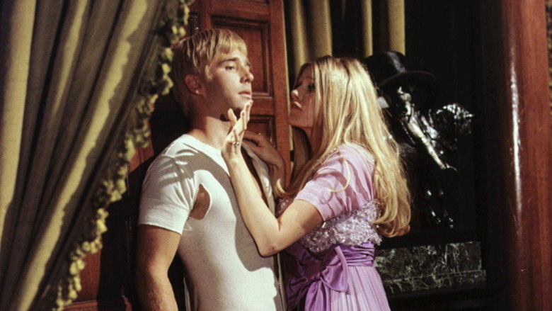 Banner for Chicago Chicago