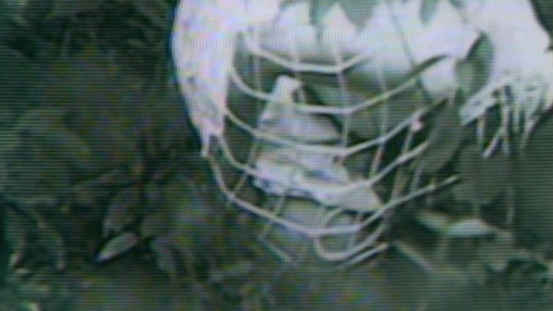 Banner for Guinea Pig 1 The Devils Experiment