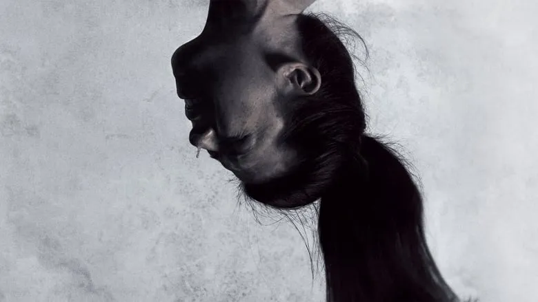 Banner for Hostel: Part II