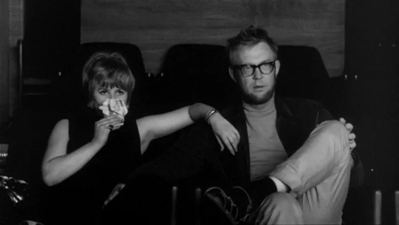 Banner for Je suis curieuse - version bleue