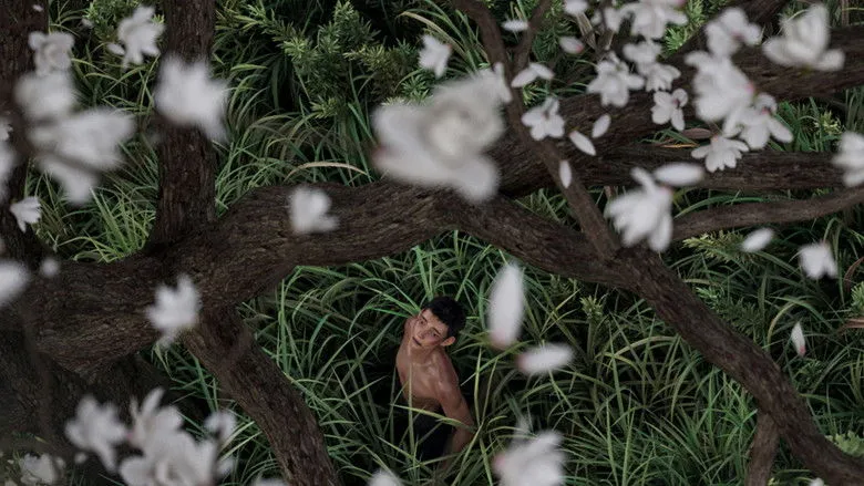 Banner for I Am What I Am 2