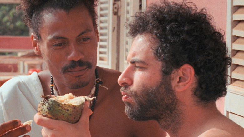 Banner for I Only Rest in the Storm