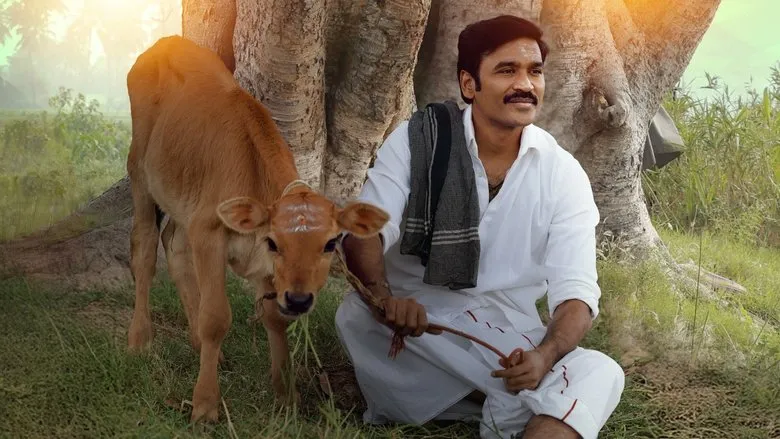 Banner for Idli Kadai