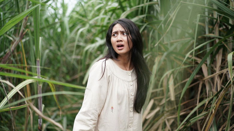 Banner for Janur Ireng