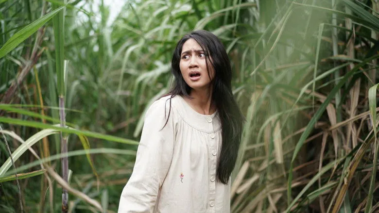 Banner for Janur Ireng