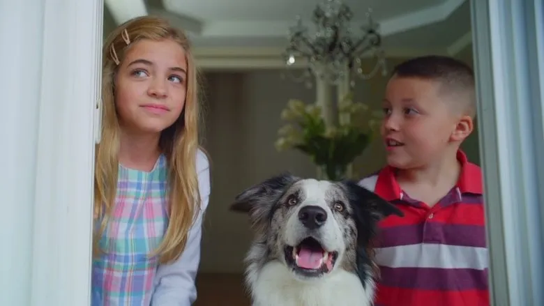 Banner for Junkyard Dogs