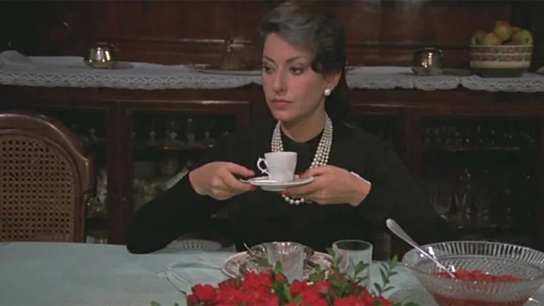 Banner for La nipote