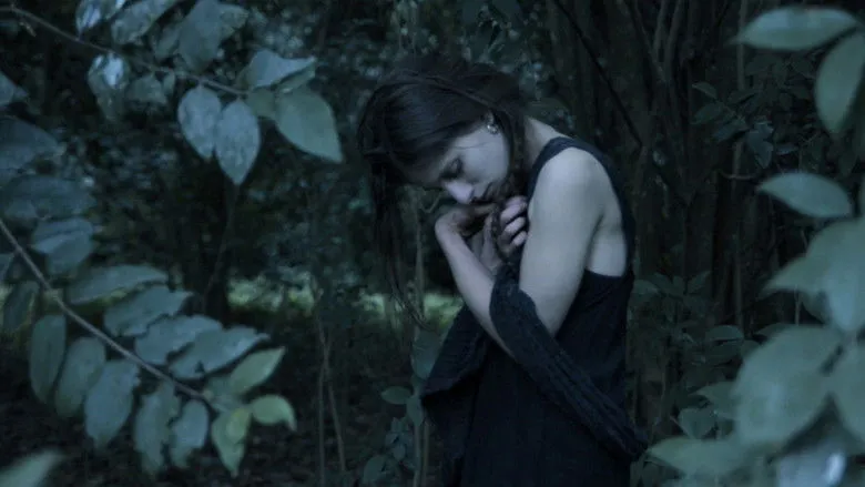 Banner for La sombra del ángel