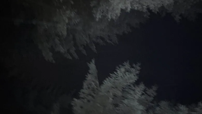 Banner for Last to Die