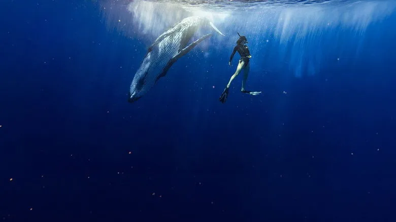 Banner for Le souffle de vie