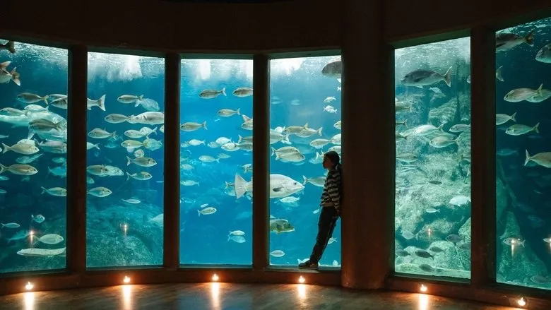 Banner for Leo & Lou