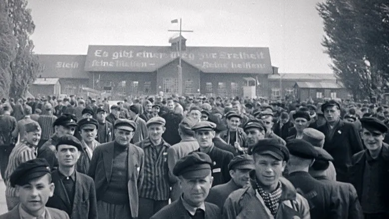 Banner for Les survivants, l'impossible départ après la Shoah