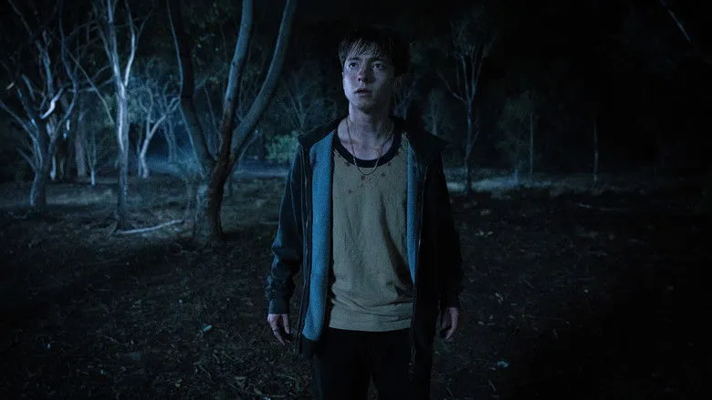 Banner for Leviticus