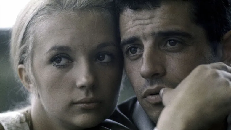 Banner for Life Love Death