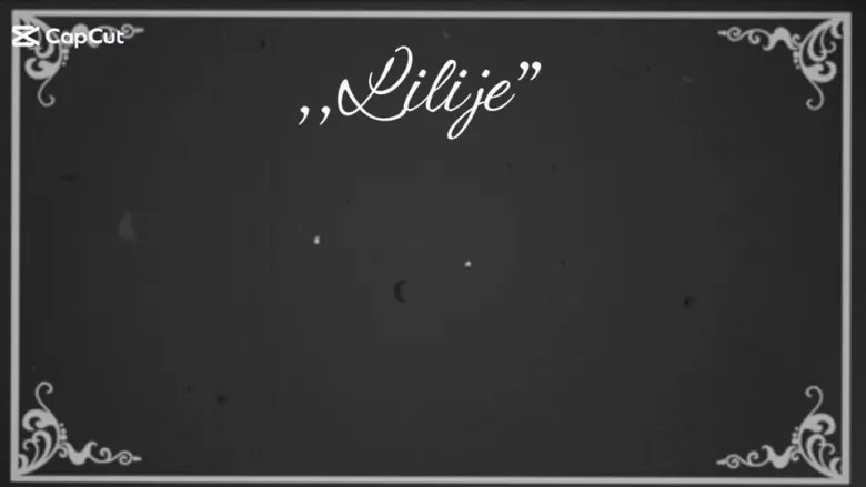 Banner for Lilije
