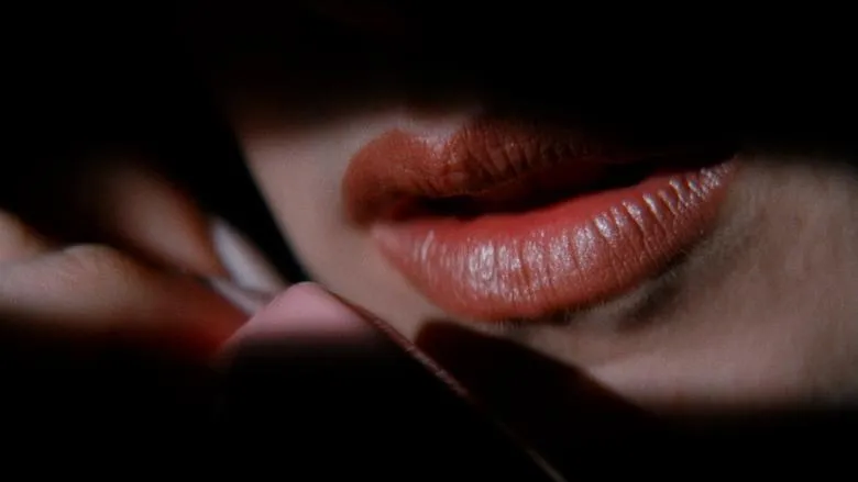 Banner for Por el lado oscuro del camino