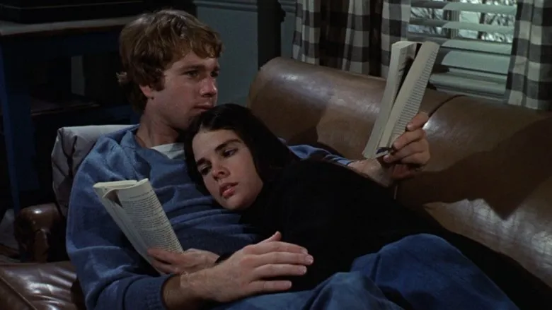 Banner for Historia de amor