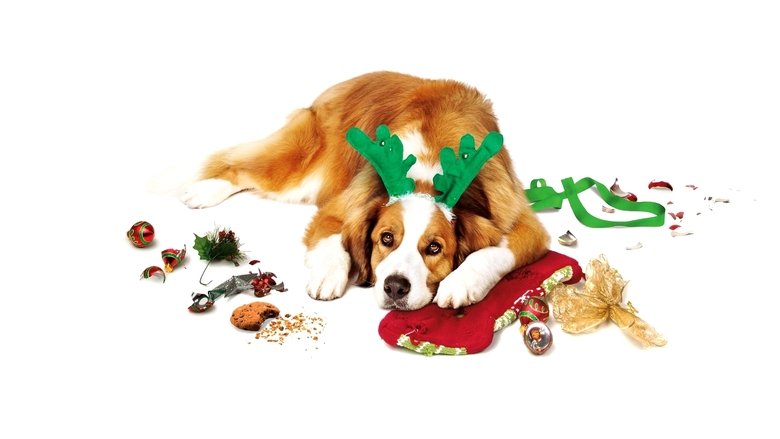 Banner for Alle Jahre wieder - Weihnachten mit den Coopers