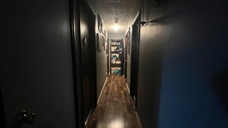 Banner for LOVESTRUCK