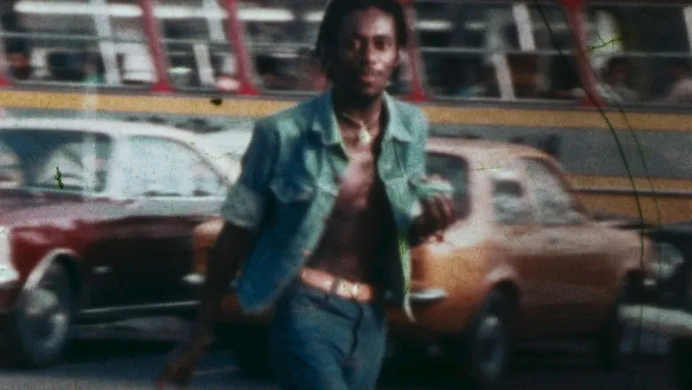 Banner for Luiz Melodia - Within the Heart of Brazil