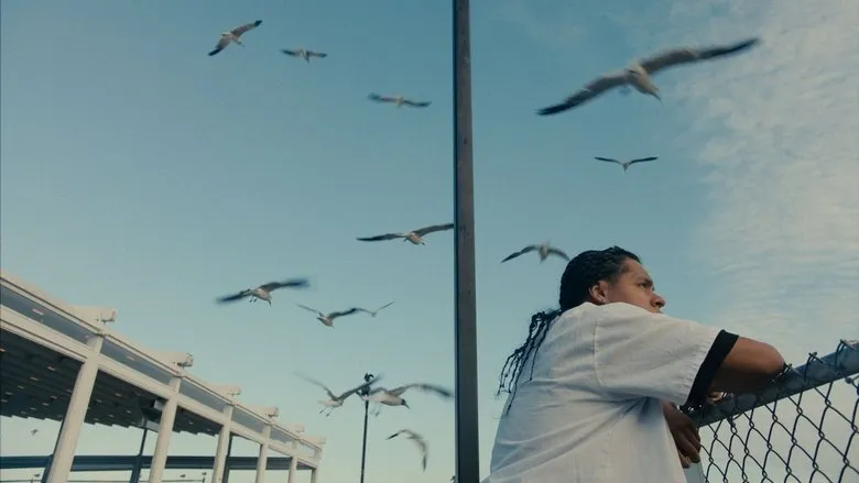 Banner for Mad Bills to Pay (or Destiny, dile que no soy malo)