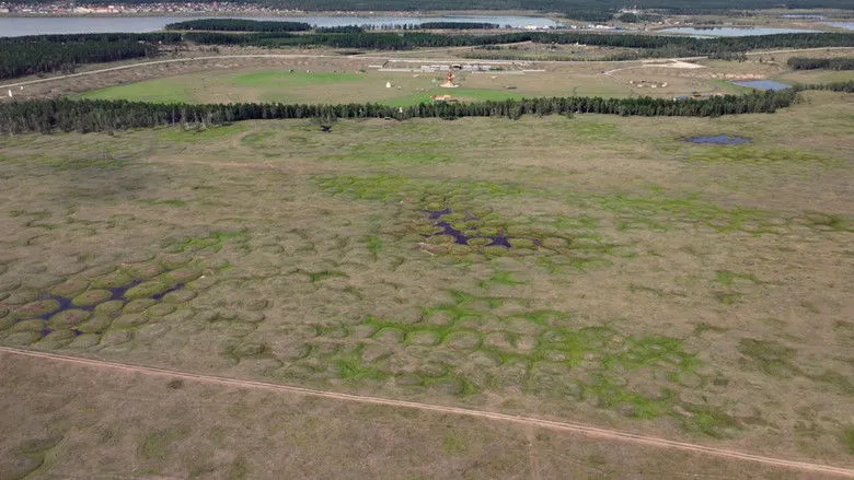 Banner for Mankind's Folly