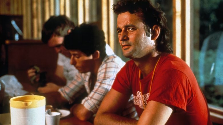 Banner for Almôndegas