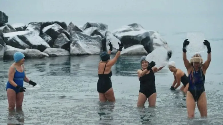 Banner for Menopause Mystery