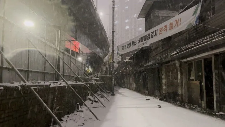 Banner for Miari Texas