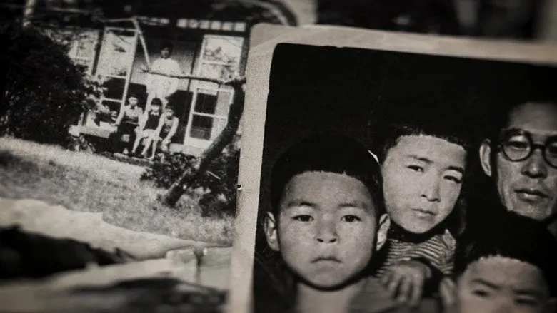 Banner for Miyazaki, Spirit of Nature