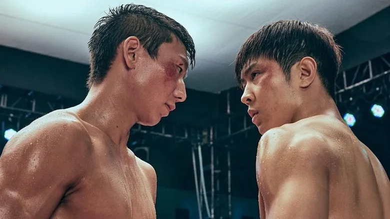 Banner for 替身拳手