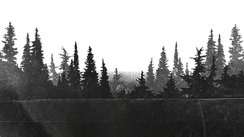 Banner for Night Shoot