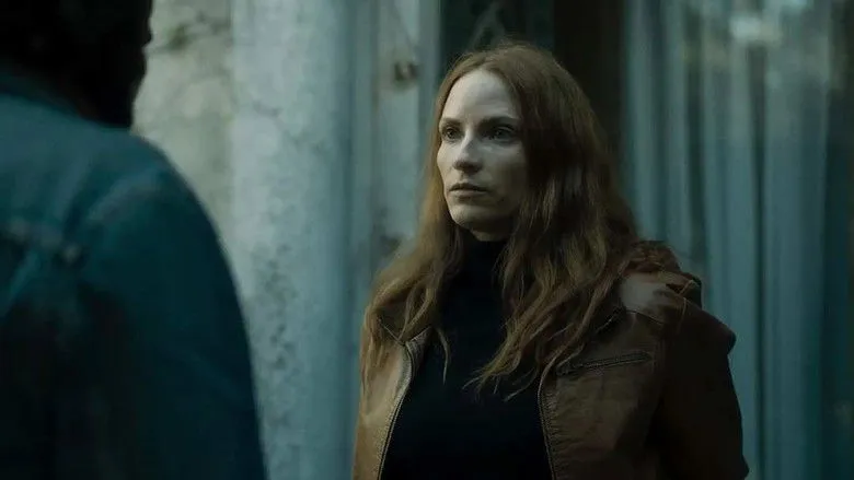 Banner for No Voltees